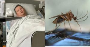 Man-dies-of-mosquito-borne-illness.jpg